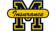 Michigan Insurance Group